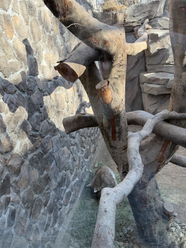 西宁野生动物园旅行图片 3