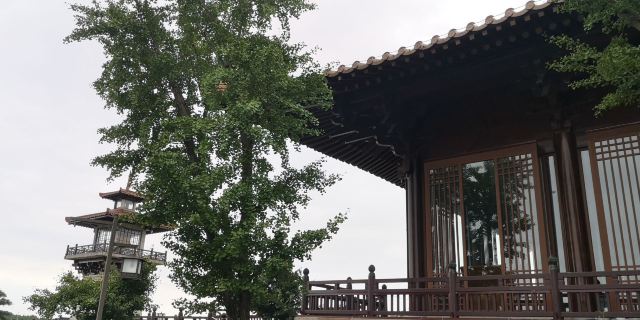 上海浦江之首旅行图片 1