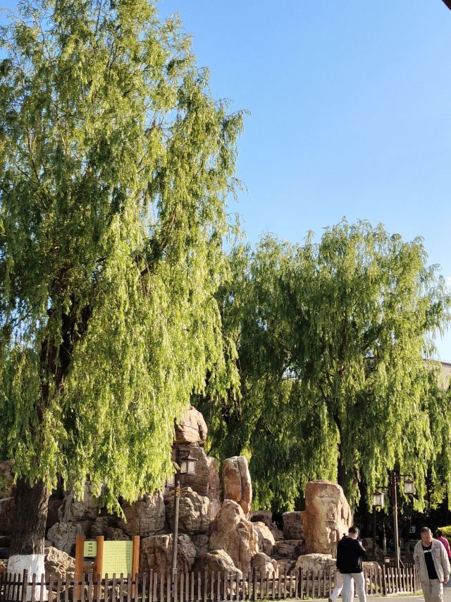 劳动公园旅行图片 2