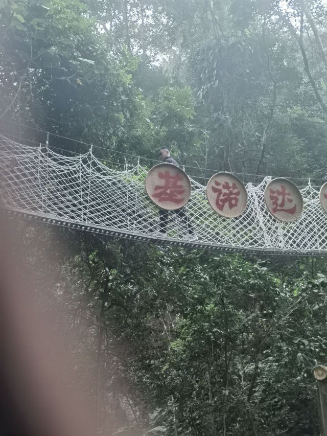 基诺山达娘雨林徒步旅行图片 2