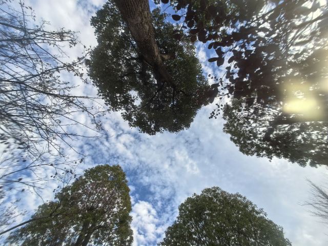 宁湖公园旅行图片 2