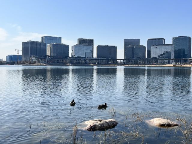 龙湖金融岛-东北广场旅行图片 2