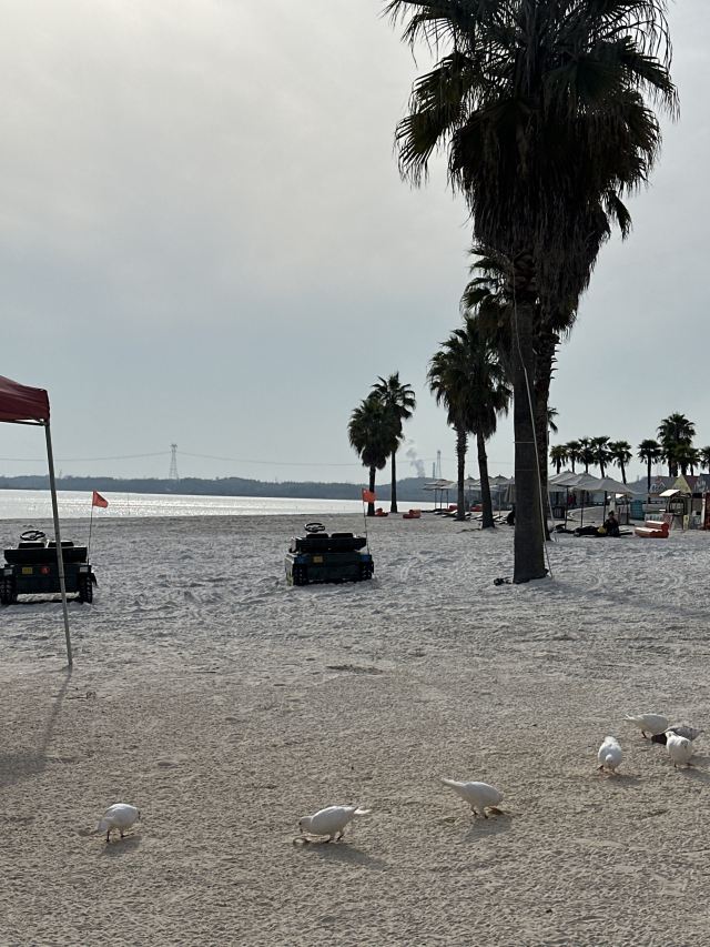蜜泉湖旅游度假区旅行图片 2