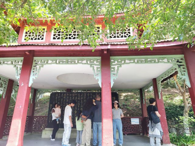 芦花荡公园-园门旅行图片 2