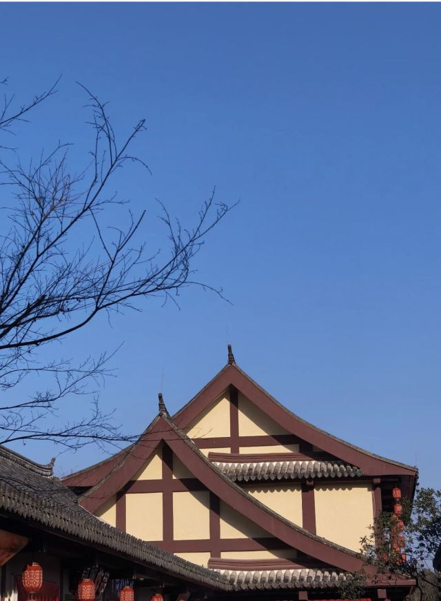 江心屿旅行图片 5