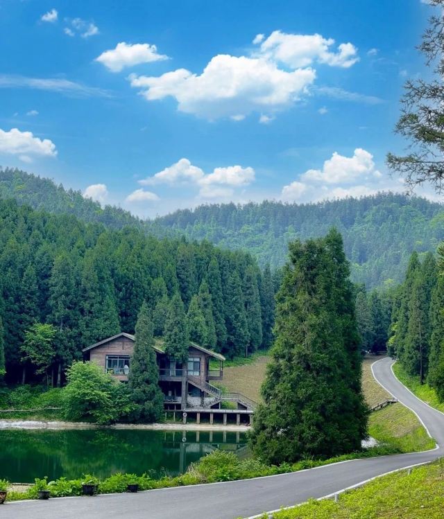 武陵山国家森林公园旅行图片 2
