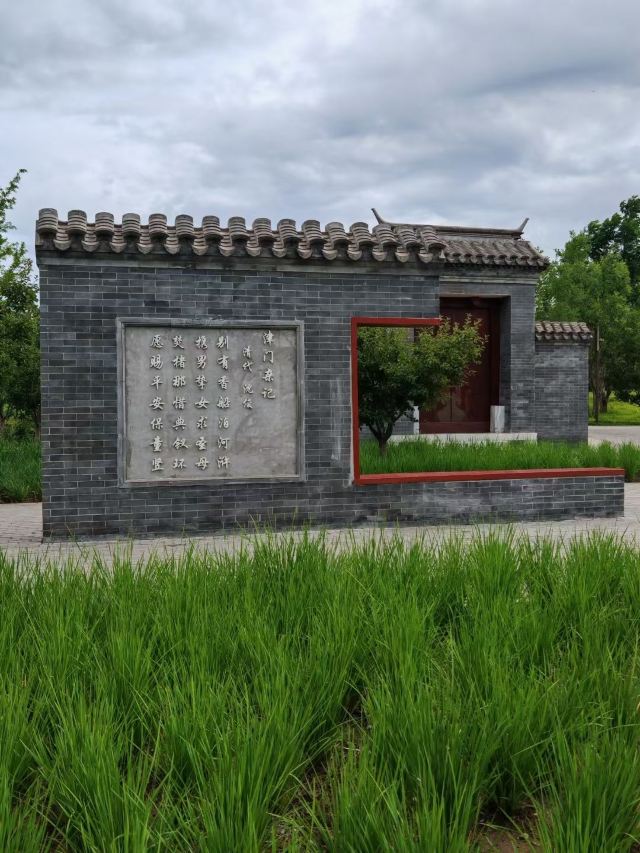 张家湾公园旅行图片 5