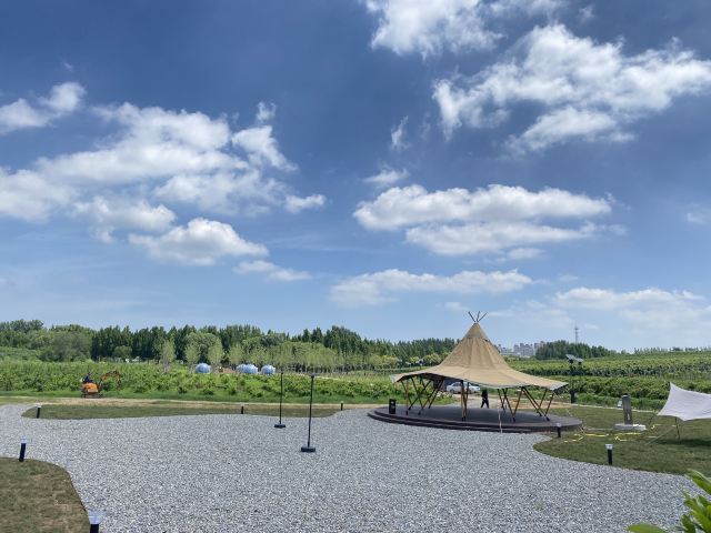 张裕国际葡萄酒城旅行图片 3