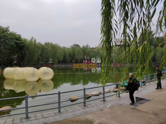莲湖公园旅行图片 4