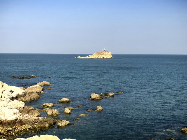 养马岛林间花海旅行图片 4