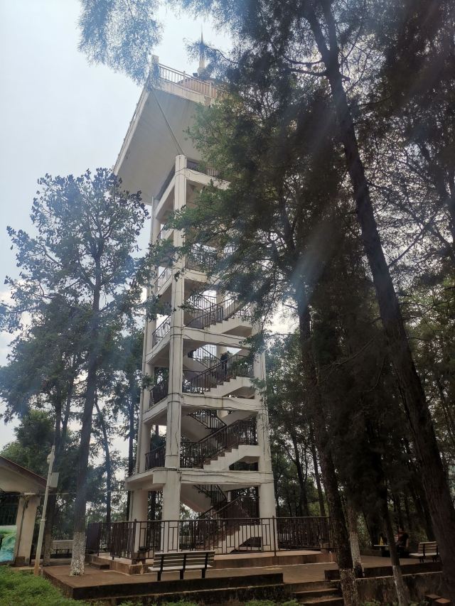凤山森林主题公园旅行图片 2