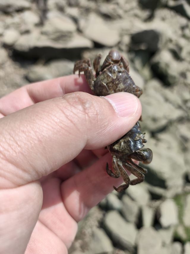 数字湖公园旅行图片 5
