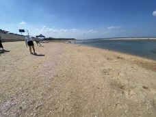 烟台-YoYo_3T6B1R0W