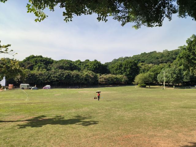 莲花山公园旅行图片 3