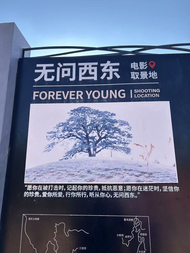 红土地千年老龙树(暂停开放)旅行图片 3