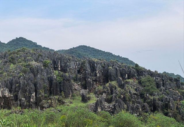 响水石林旅行图片 8