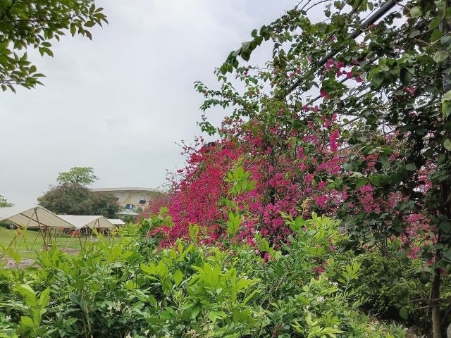 岭南大地百草园旅行图片 3