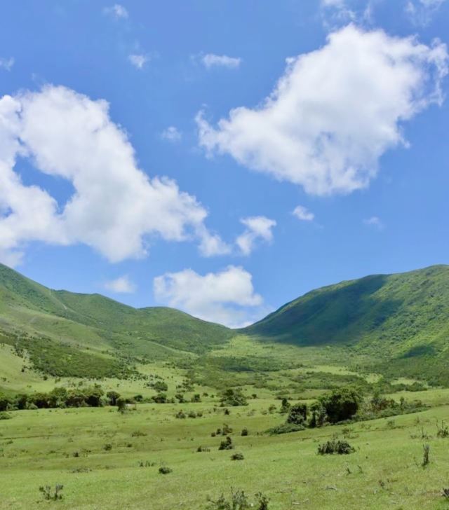 鸟吊山旅行图片 1