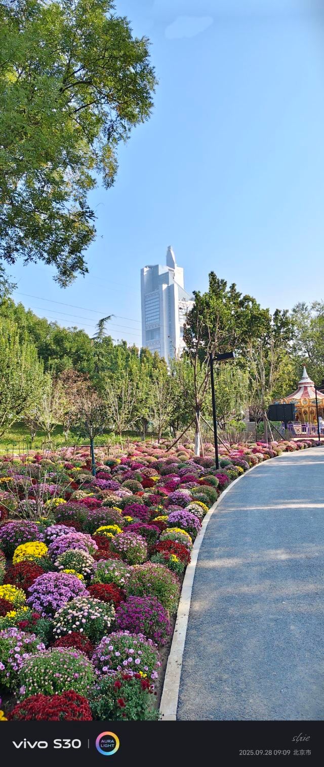 庆丰公园旅行图片 10