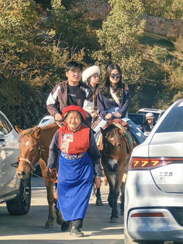 纳帕海大草原旅游景区旅行图片 8