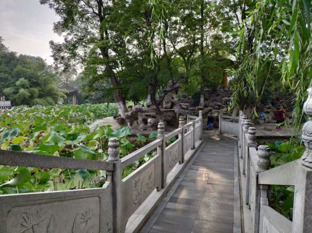 莲湖公园旅行图片 3