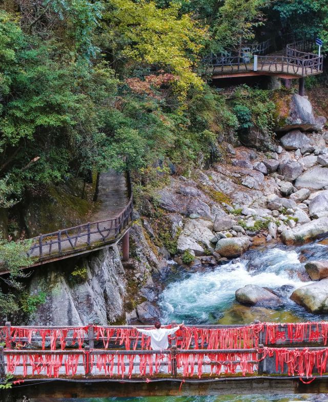 炎陵县神农谷国家森林公园旅行图片 8