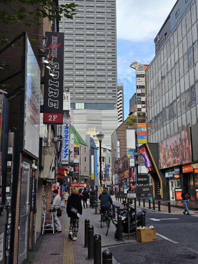 东京新宿区游玩攻略简介,东京新宿区门票/地址/图片/开放时间/照片/门票价格【携程攻略】