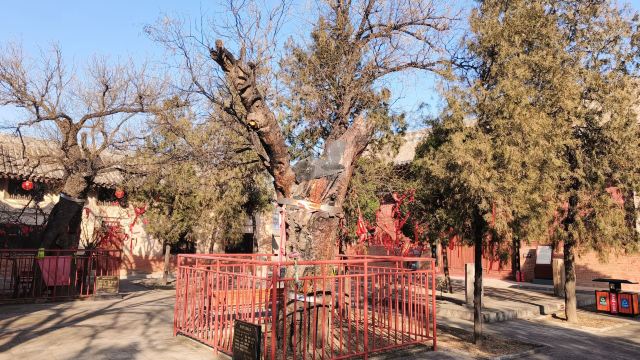 白台寺旅行图片 5