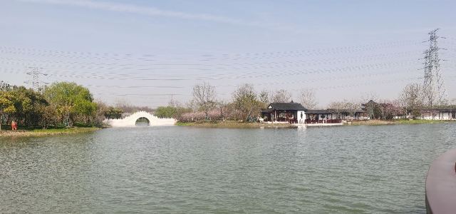 横沔公园旅行图片 3