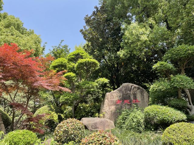 四川北路公园旅行图片 11