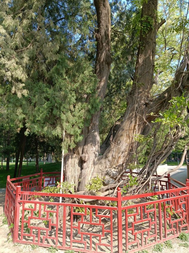 日坛公园旅行图片 3