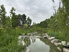 阿克苏多浪河国家湿地公园-阿克苏市-gdzhcyf6898