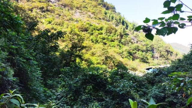 龙门河国家森林公园神龙洞景区旅行图片 6