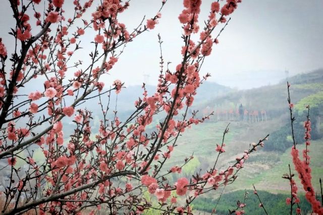 白鹿原影视城旅行图片 3