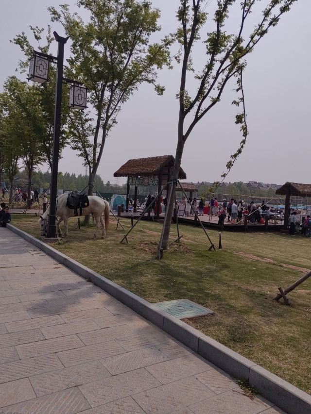 孔望山旅行图片 3