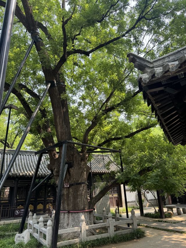 范公亭公园旅行图片 3