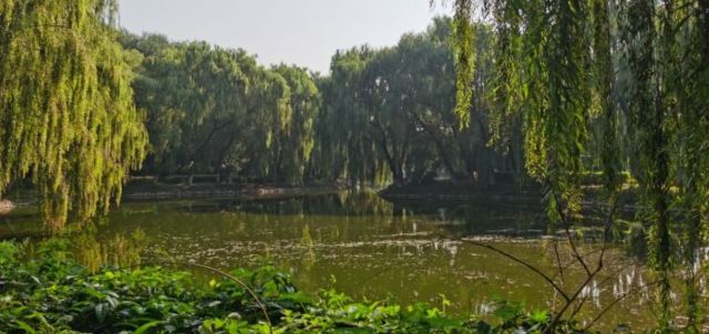 虎石台公园旅行图片 2