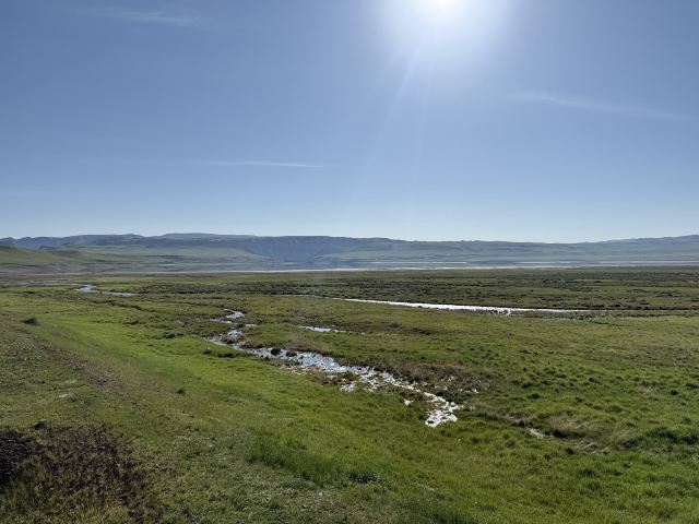 山丹皇家马场景区(暂停开放)旅行图片 1