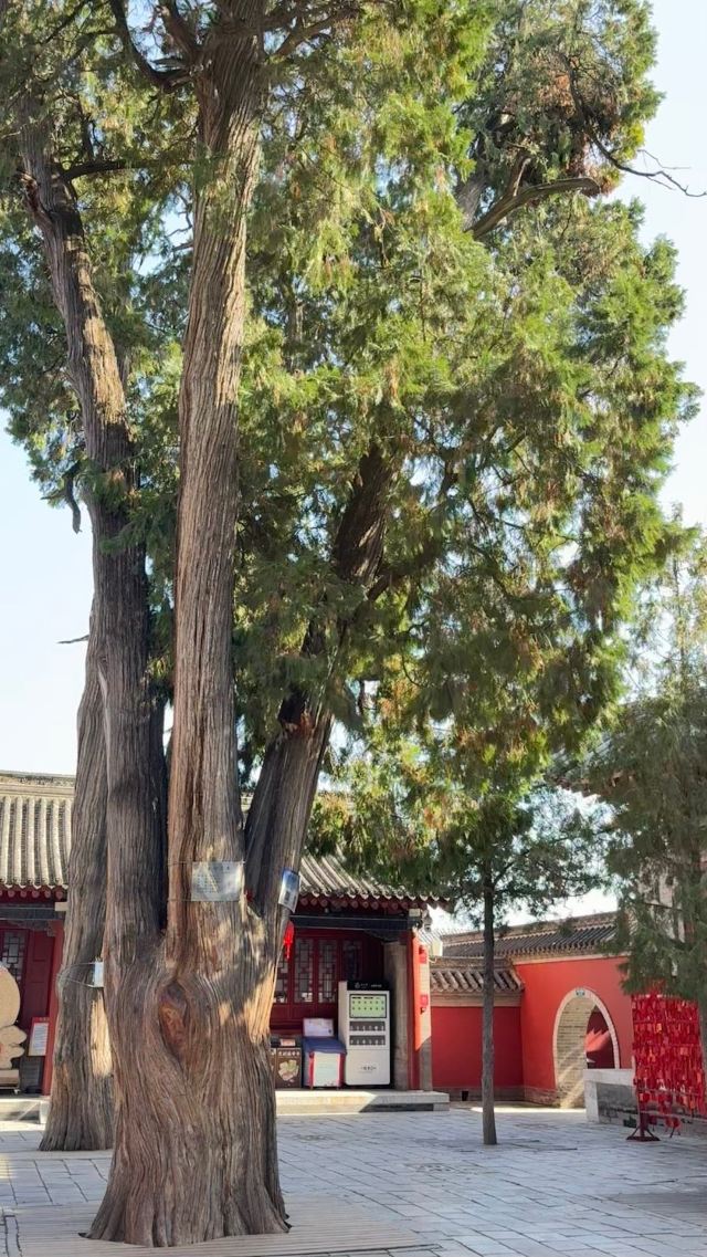 天水古城旅行图片 3