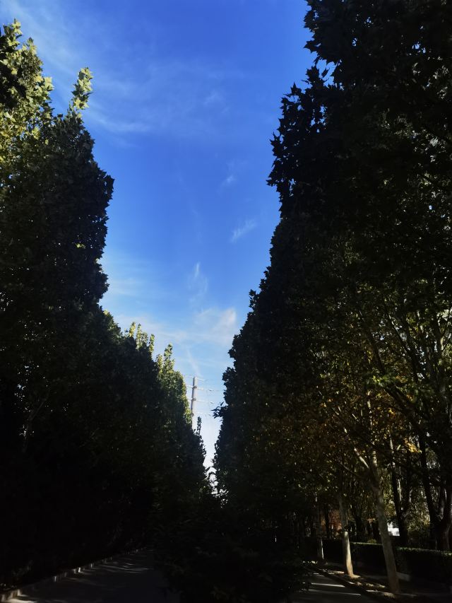 庆丰公园旅行图片 9