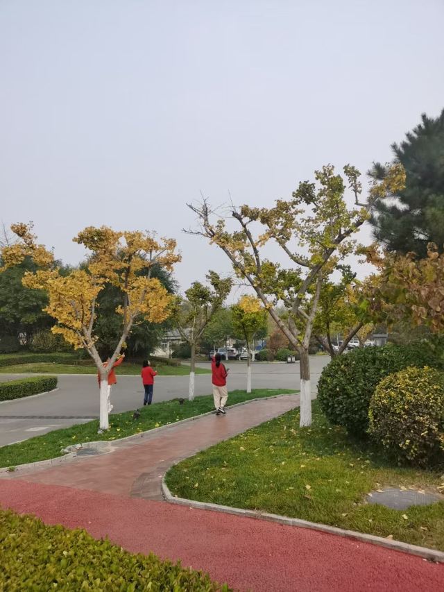 阿尔卡迪亚红桥海滩旅行图片 5