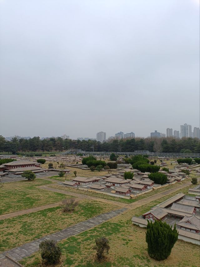 大明宫国家遗址公园旅行图片 3