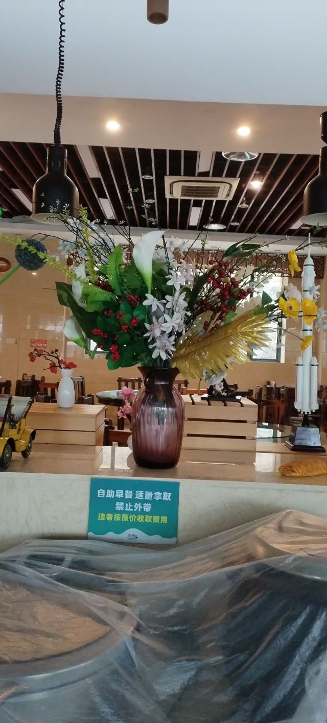 茅山森林世界旅行图片 3