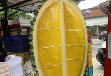Si Bolang Durian购物图片