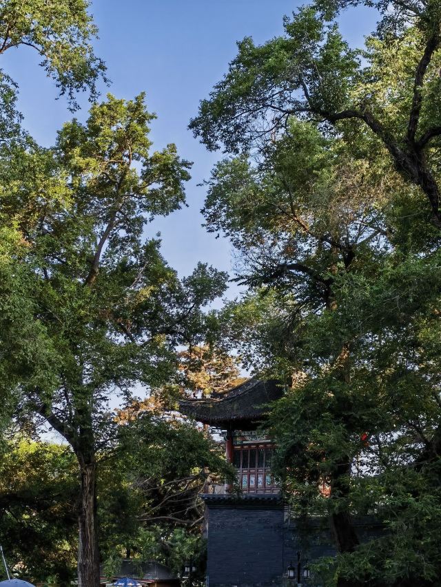 北山公园旅行图片 8