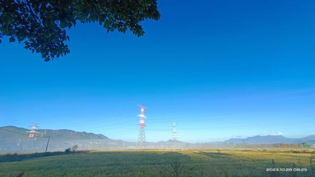 丽江四季花开景区旅行图片 2