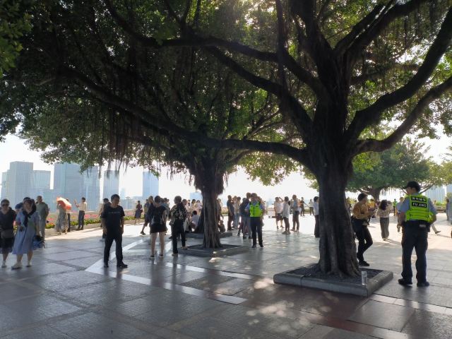 莲花山公园旅行图片 8