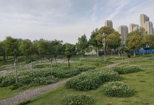 后湖公园旅行图片 2