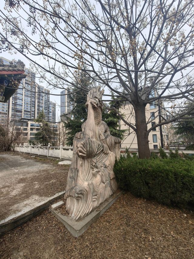 轩辕殿旅行图片 8