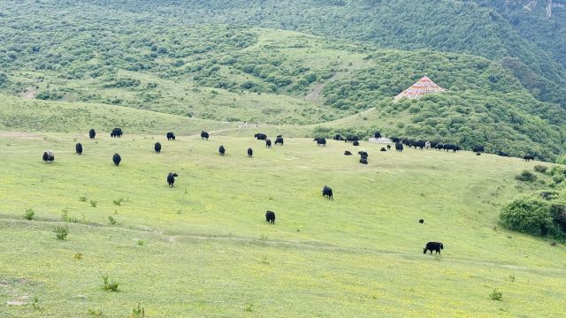 冶力关旅游区旅行图片 2